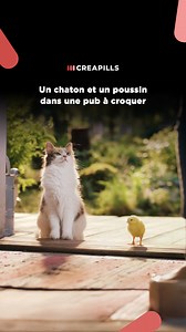 Une amitié presque parfaite | Creapills
