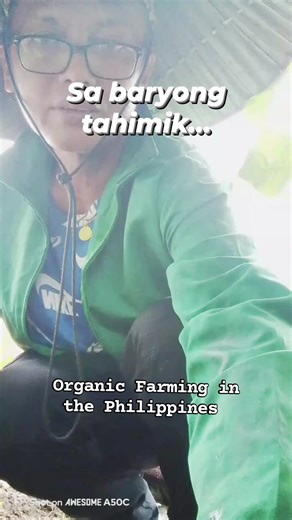 Sa #baryongtahimik #kaorganic #farmlife #fblifestyle | Organic Farming in the Philippines