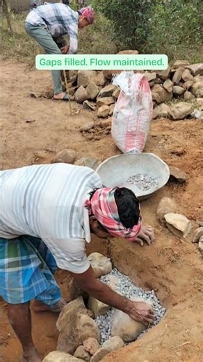 A Bio-Toilet That Needs No Maintenance