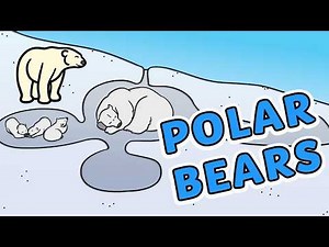 Polar Bears for Kids | All About These Amazing Arctic Hunters