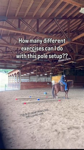 4.3K views · 6.8K reactions | More ground pole exercises! This one setup offers pole trot and canter poles! This is an older video, so stay tuned. Because I’m going to use this same setup again, and add more exercises soon! #horses #horseriding #groundpoles | Double Z Farm | Facebook