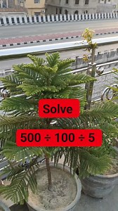 Try This Mathematics solution | Learn And Solve