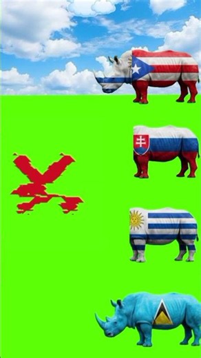 #flagquiz #animalquiz #independencedayquiz