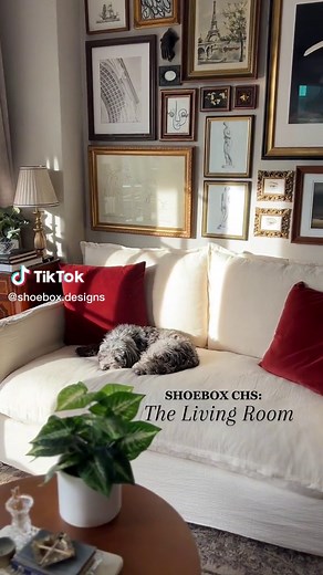 Vintage Living Room in Shoebox CHS