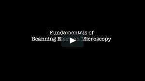 W-131: Fundamentals of Scanning Electron Microscopy