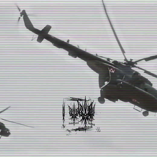 US Army Special Forces Training in Action