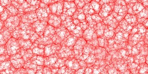 Brain Activity Predicts Onset of PTSD | Neuroscience