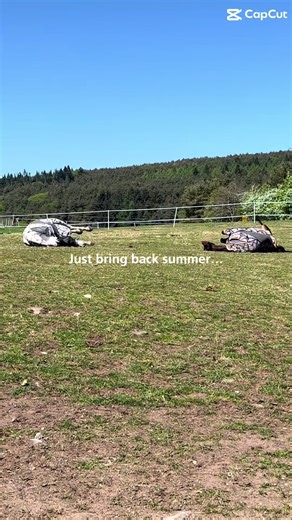 Bro I want summer back so bad I miss my summer hacks spending time outside ugh I hate winter 😩 @Anna @lucy.whiteford0 @phoebe @anna x @skye - - #summer #fyp #viral #horse #pony