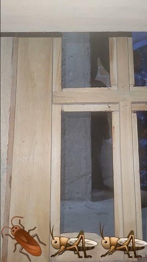 raid ant &roach Killer commercial