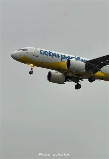 Cebu Pacific Air Flight 387 Insights and Landing