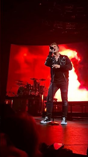 Concert David Hallyday - Requiem pour un fou (10)