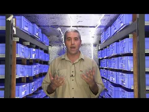 Best Insect Breeding Website