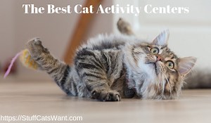 The 13 Best Cat Activity Centers (burn those calories) 2021