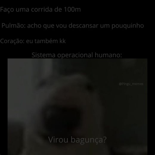 #pingu_memes #memestiktok #memesbr #fyp