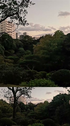 Hidden Beauty in Tokyo – Roses, Stone Gardens, Kyū-Furukawa Gardens【Walk in Japan】 ♫🎹 Johnny JAM🎸