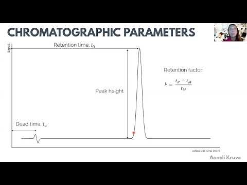 Overview of the chromatographic parameters