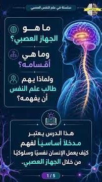The Nervous System and Its Divisions: A Foundational Introduction to Understanding Human Behavior...
