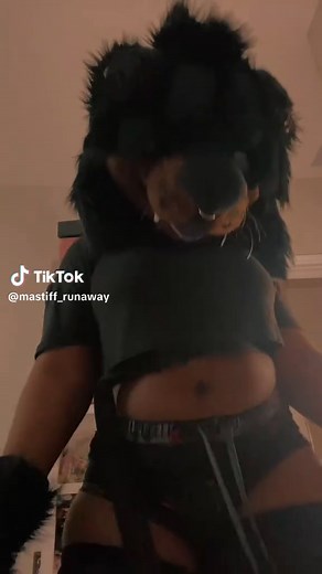 Tibetan Mastiff: Big Dog with a Playful Puppy Personality