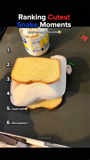 Ranking Cutest Snake Moments🐍