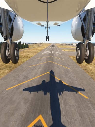 Emergency Plane Landing: A Closer Look at Aviation Safety