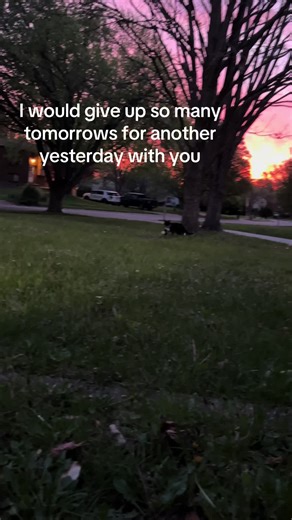 Remembering My Boy: A Heartfelt Tribute