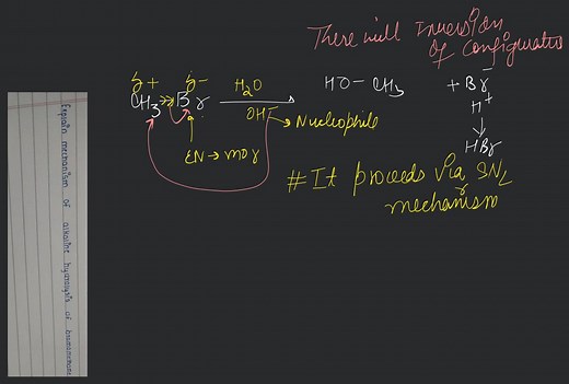 Explain mechanism of alkaline hydrolysis of bromomethane... | Filo
