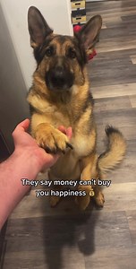 1.1M views · 93K reactions | Technically my adoption was free, but I do have expensive taste  | Best Boy Benson | Facebook