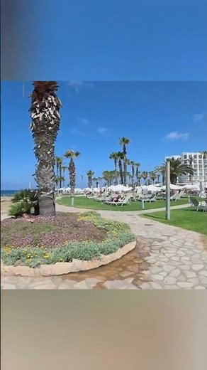 This is just a taste of what you could be enjoying in Paphos - TODAY | Travel Short - Cyprus