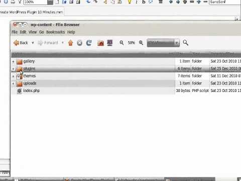 Create a WordPress Plugin with PHP in 10 Minutes
