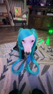 Miku Biscuit #hatsunemiku #cosplay #meme #funny | MisterMainer