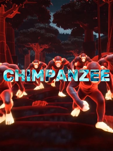 Understanding the Social Structure of Chimpanzee Troops