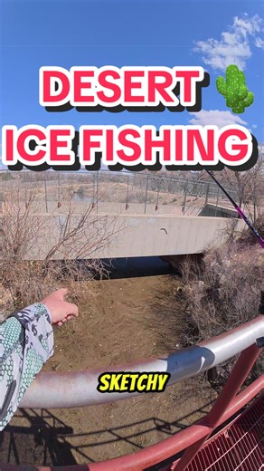 Tips for Urban Bass Fishing and Ice Fishing Adventures