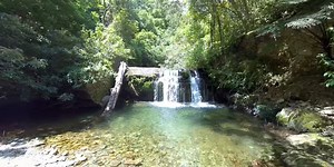 Wellness & Health New Zealand