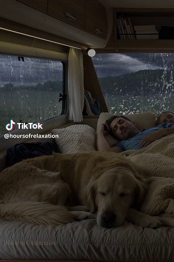Rainy Night Car Sounds for Restful Sleep