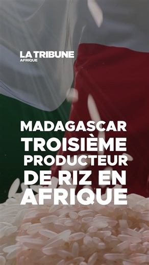 #Madagascar, troisième producteur de #riz en Afrique, reste pourtant dépendant des importations. Avec une consommation moyenne de 153 kg par personne et par an, l’un des niveaux les plus élevés au monde, la demande dépasse largement l’offre. #LaTribuneAfrique | AgenceEcofin