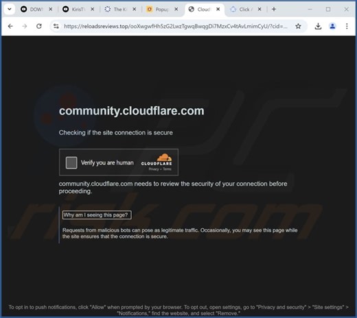 Reloadsreviews.top Ads