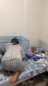 Ako sa cage sila sa kama galing! | Arkira