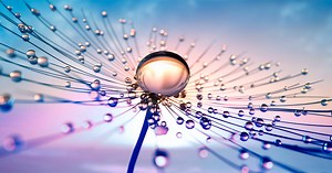 Case Study: Catalysing Clean Tech with Private Capital