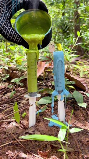 Essential Survival Skills for Outdoor Adventures