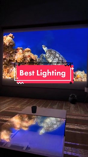 Ultra realistic lighting! VRChat World: