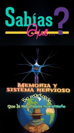 👉Interesting facts about memory and the nervous system 🧠🌀 #didyouknow #funfacts #memory