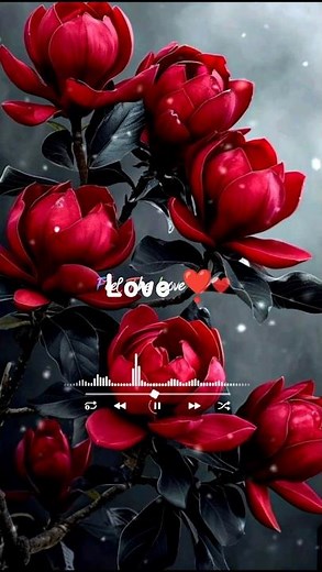 ❣️Oru Kola Kili❣️#shortsfeed #shortsvideo #shorts #tamilsong #whatsappstatus #trendingshorts #love