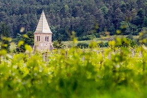 Meteo Frasnay-Reugny (58270) - Nièvre : Prévisions Meteo GRATUITE à 15 jours - La Chaîne Météo