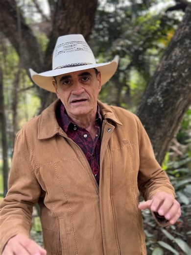 Por que voltar para quem já te machucou é sinal de estar perdido