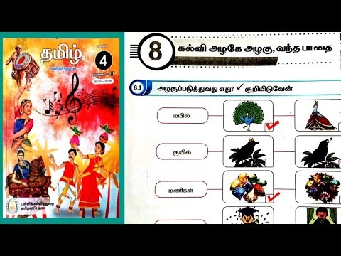 4th Standard Tamil Workbook Term-3 Unit-8 Answers கல்வி அழகே அழகு, வந்த பாதை 2025-26 ‪@illanthendral7‬