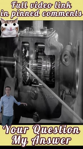 102K views · 787 reactions | #fact #facts #factsdaily #knowledge #didyouknow #factz #amazingfacts #factsoflife #dailyfacts #knowledgeispower #amazing #story #explore #fypviralシ | Crafty Panda Fact | Facebook