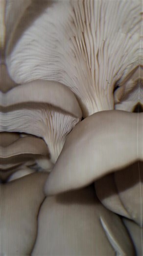 #Amroc #restoraunt #sunk