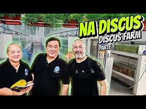 ONE OF THE BEST DISCUS BREEDERS IN MALAYSIA | FARM NO. 1