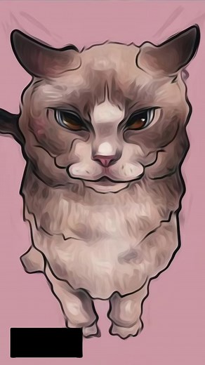 2M views · 28 shares | Boom裡 | Boom Cat | Facebook