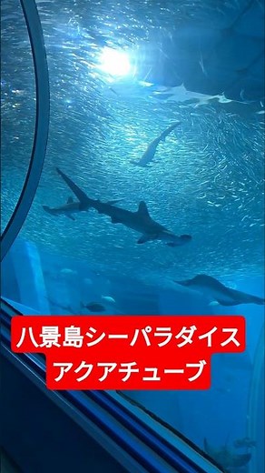 Hakkeijima Sea Paradise Aqua Tube #HakkeijimaSeaParadise #Yokohama #Date #Aquarium